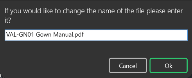 Screenshot of renaming File dialog